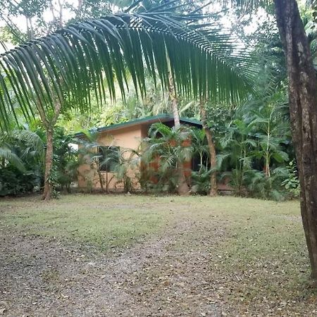 Nosara Paradise Rentals Exterior foto